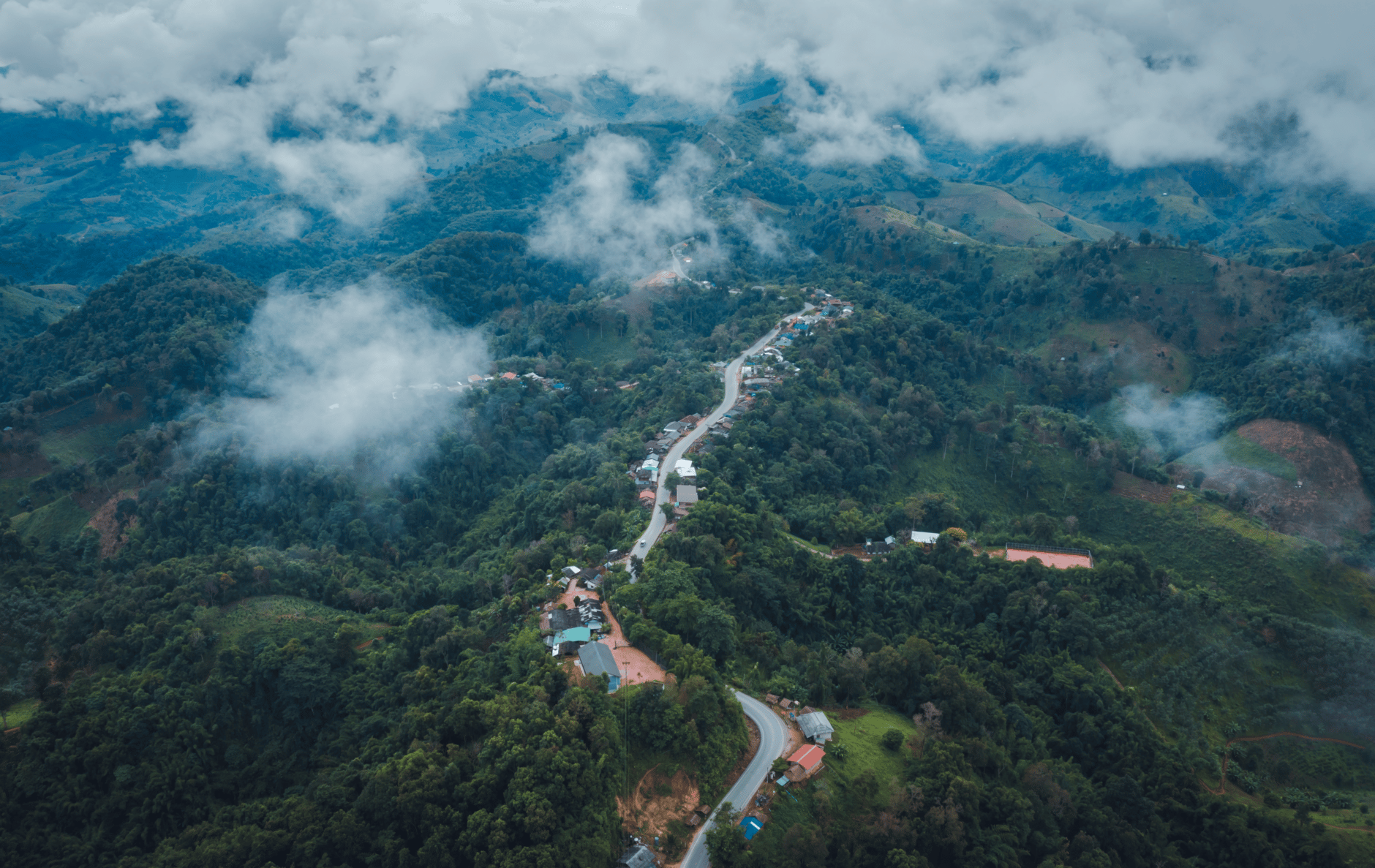 A couple of houses in the middle of the rainforest with a slim road going through