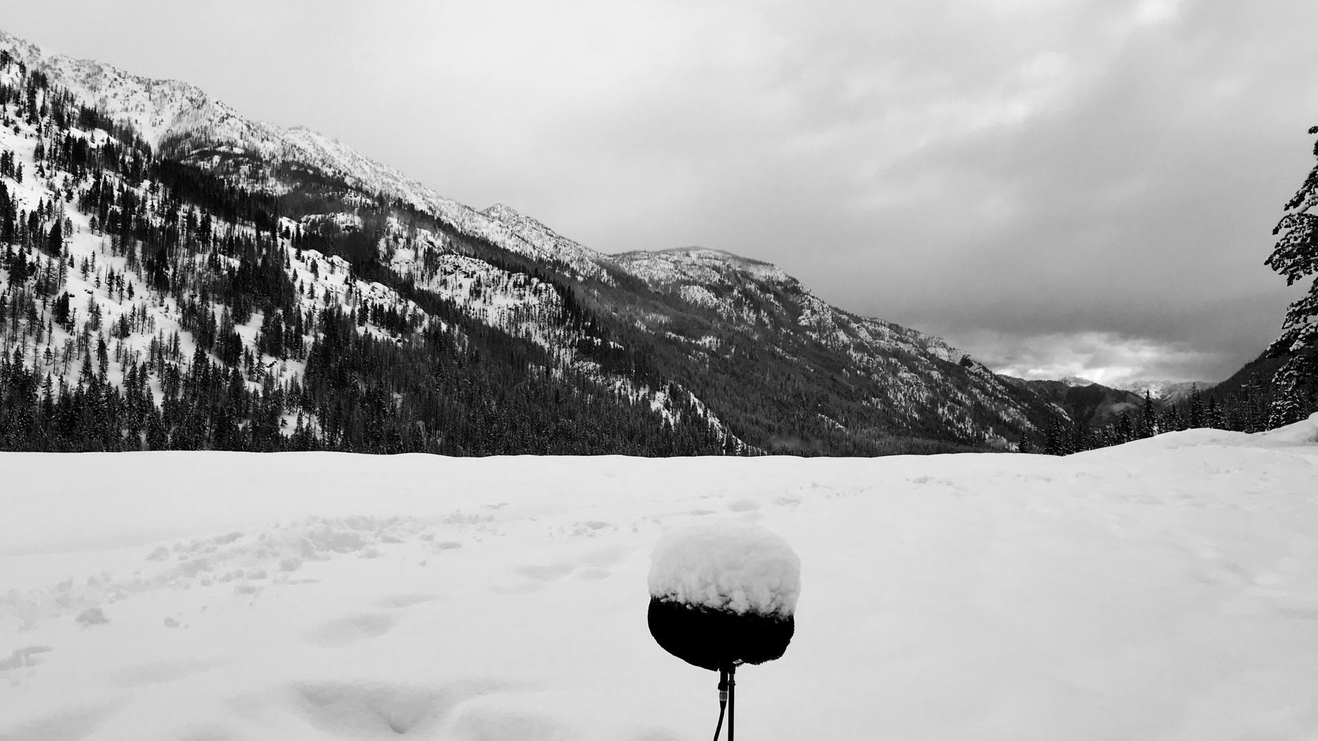 Microphone in snowy mountain landscape with overcast sky.