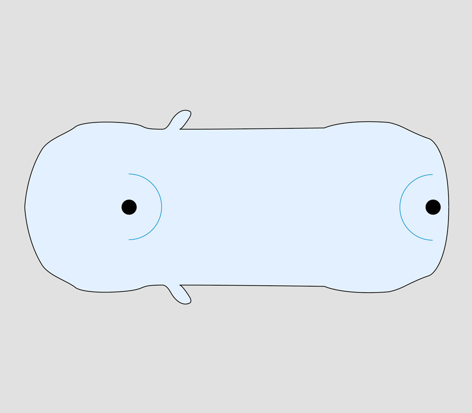 Diagram of a contrabass with labeled parts.
