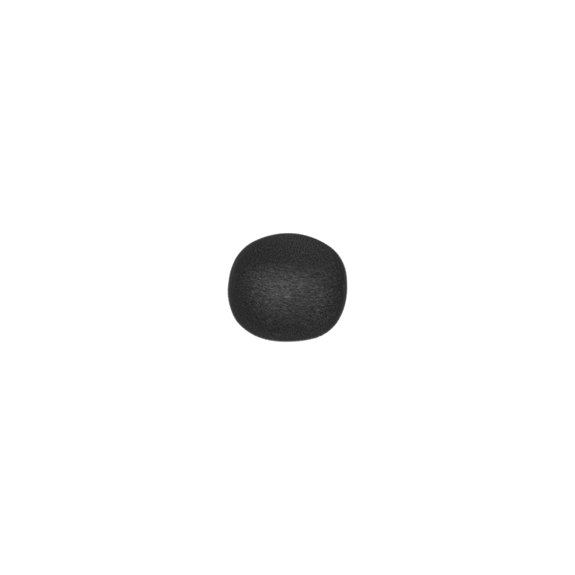 Piccolo_Accessories_Black_Foam