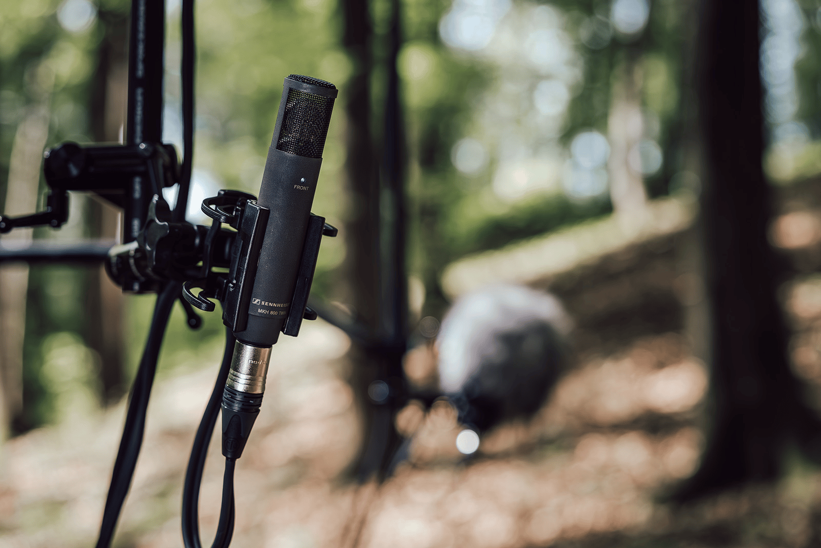 Sennheiser MKH 800 twin microphones fixed to the Grace Design Immersive Microphone Array