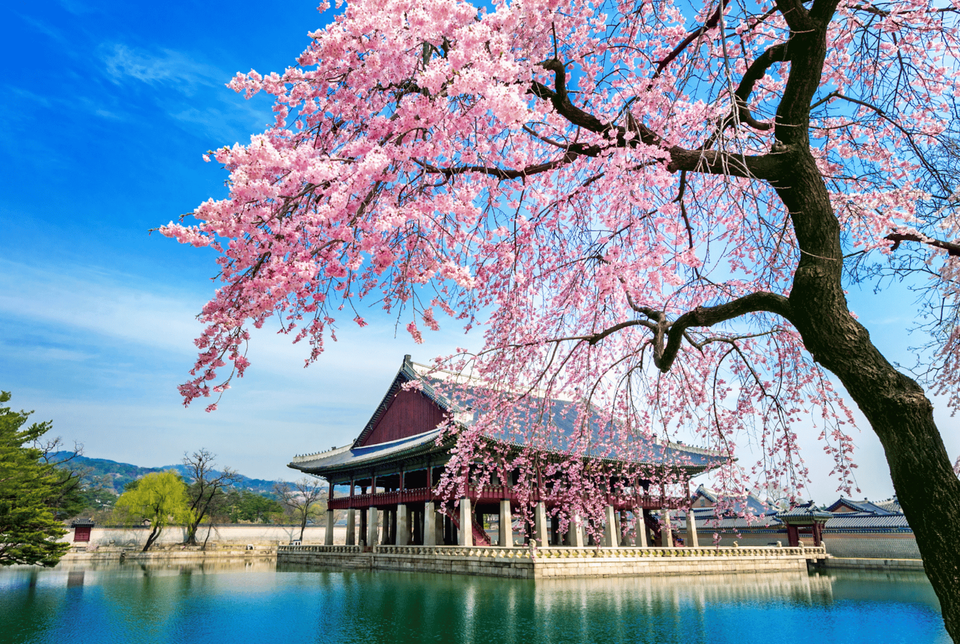 Register ⋅ Seoul