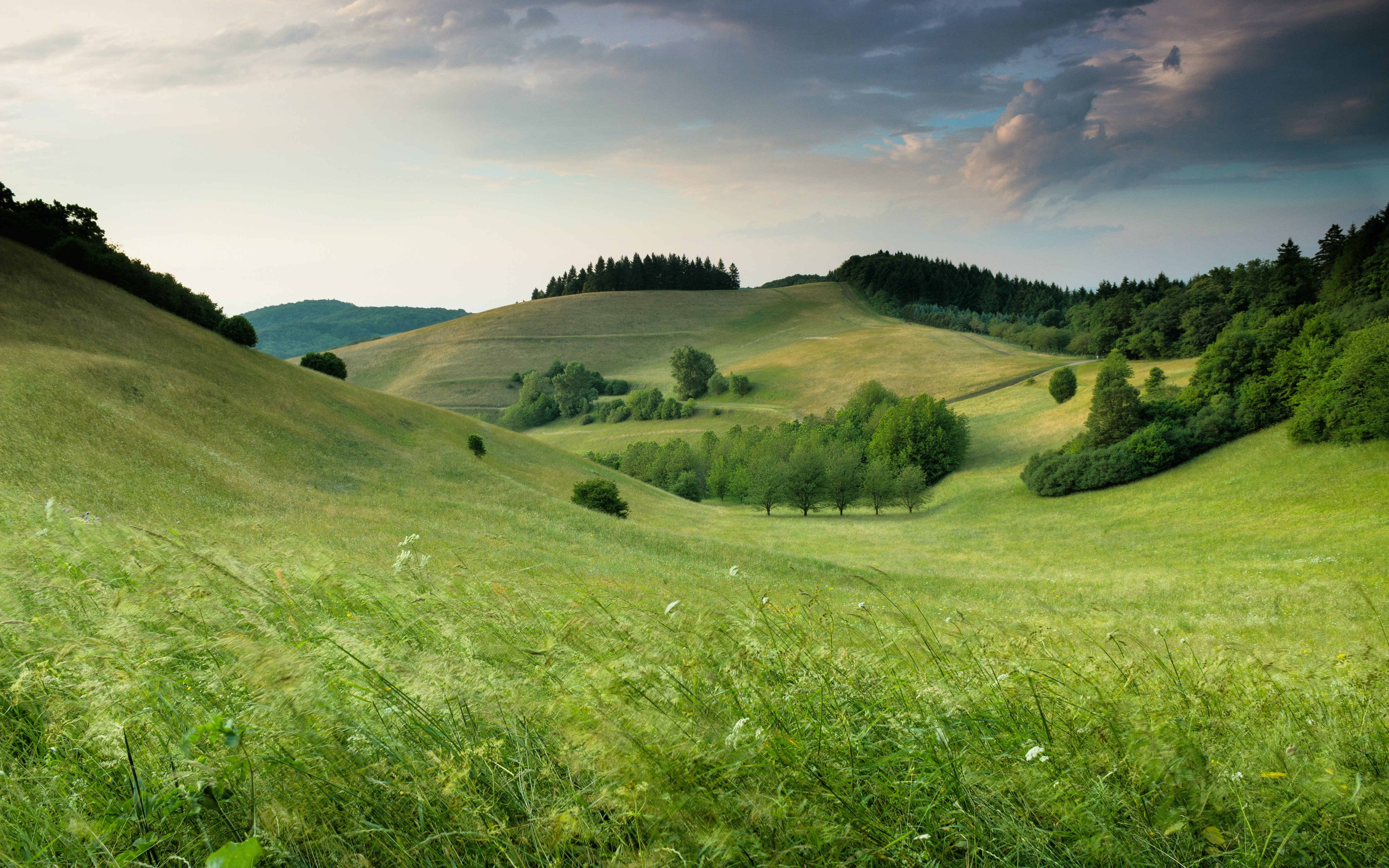 Green meadow landscape with rolling hills, trees, and cloudy sky.