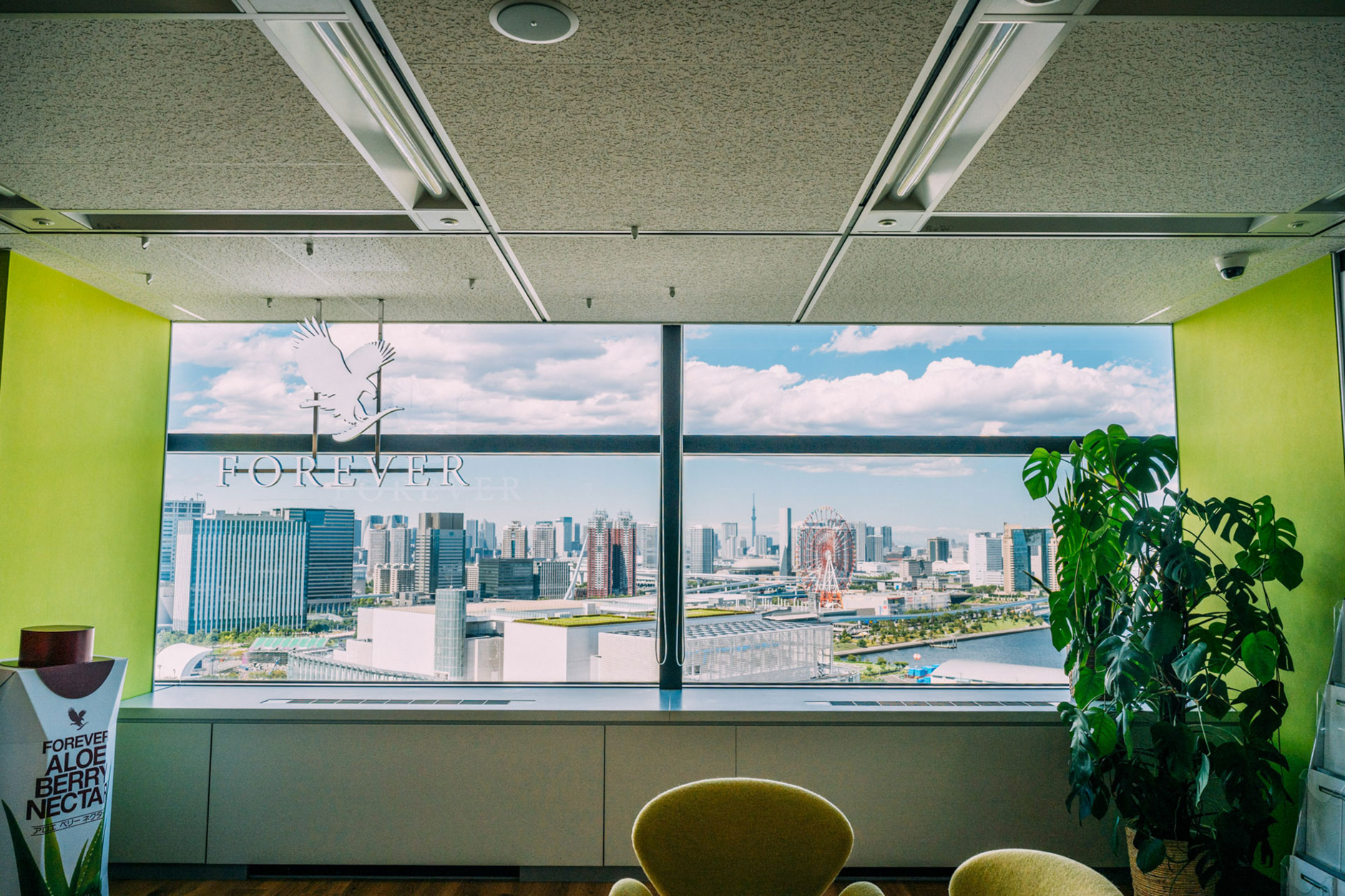 forever-living-products-office-view-on-city.jpg
