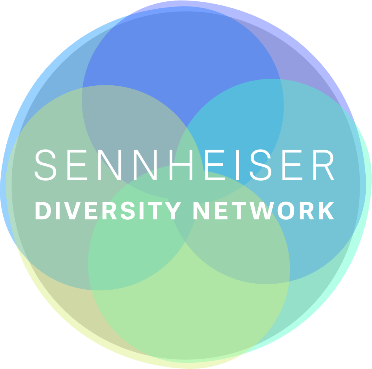 Sennheiser Diversity Network
