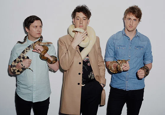 The Wombats