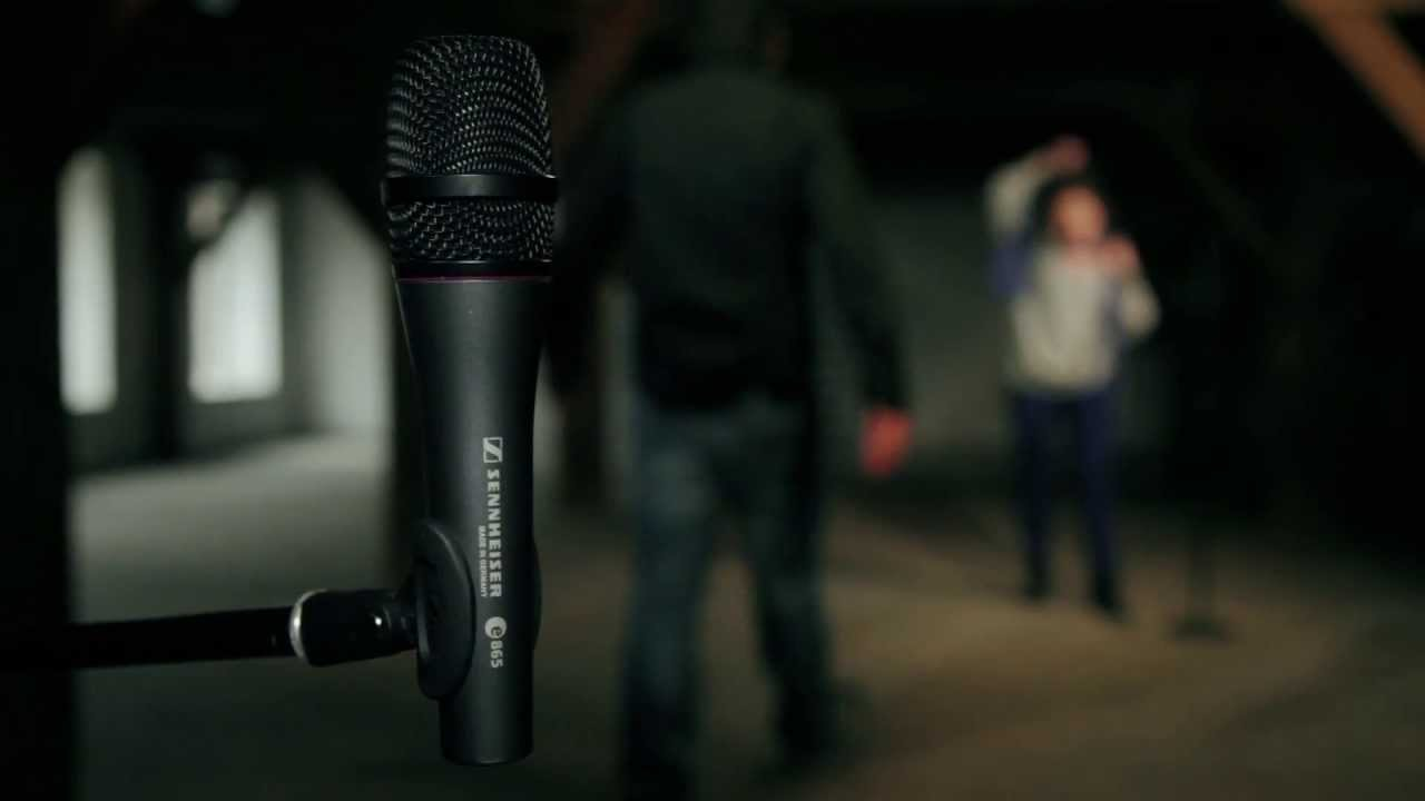Sennheiser e 865 - Vocal and Speech Condenser Super-Cardioid Microphone