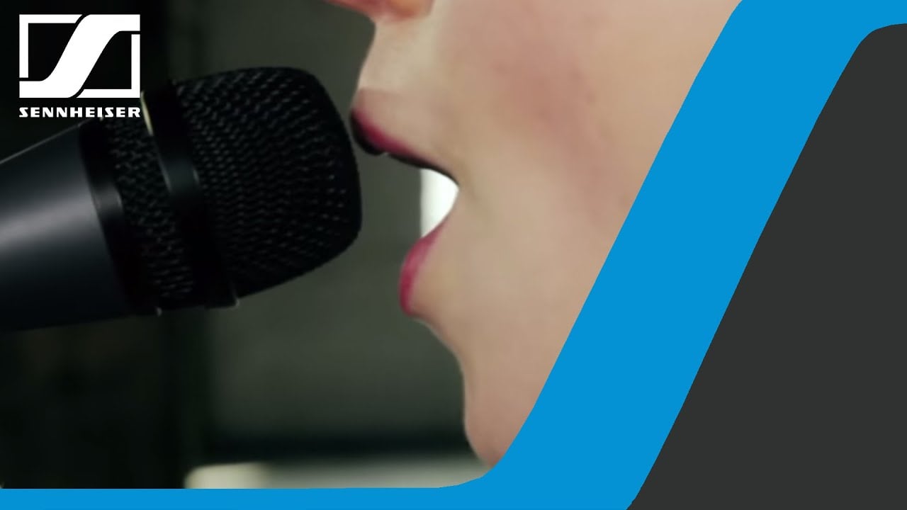 e 835 Vocal and Speech Dynamic Microphone