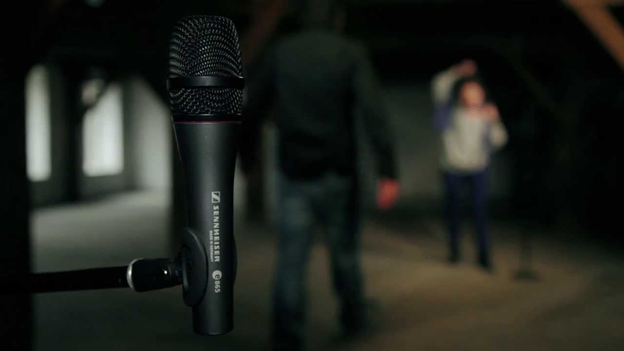 e 865 Vocal and Speech Condenser Super-Cardioid Microphone - Live Recording