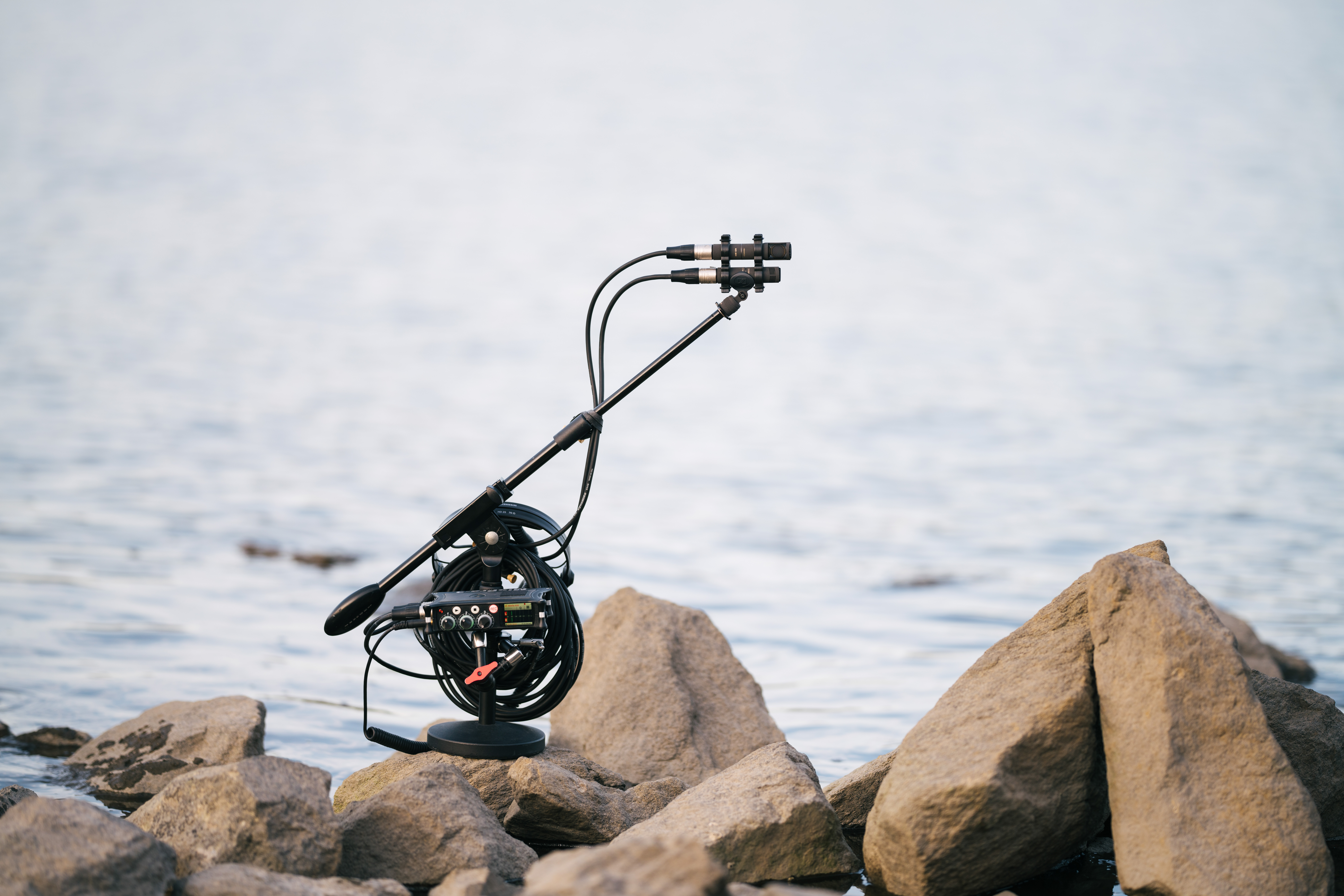 Sennheiser MKH 8030 microphone setup on rocks by the water.